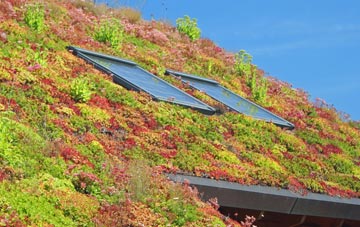 Harpenden living roof systems